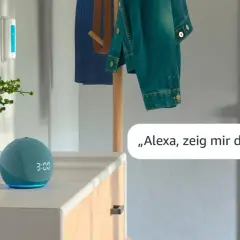 Ein blauer Echo Dot mit leuchtender Anzeige steht neben einer Pflanze. Eine Stimme fragt: "Alexa, zeig mir das Wetter.