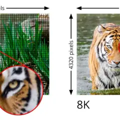 Vergleich von 4K UltraHD und 8K: Ein Tiger im Wasser, wobei 8K eine deutlich höhere Detailgenauigkeit zeigt.