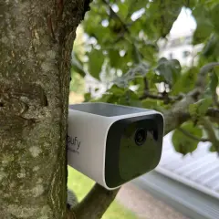 Eufy S220 im Test: Eine Überwachungskamera, unauffällig am Baum befestigt, überwacht das Grundstück.