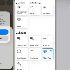 Ein nicht zertifiziertes Gerät wird für das Zuhause konfiguriert. Der Fibaro Plug ist ausgewählt.