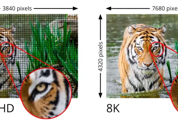 Vergleich von 4K UltraHD und 8K: Ein Tiger im Wasser, wobei 8K eine deutlich höhere Detailgenauigkeit zeigt.
