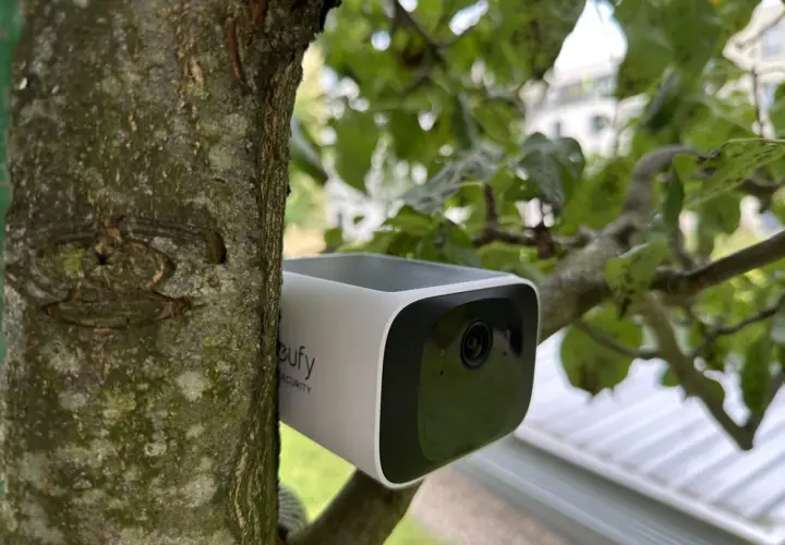Eufy S220 im Test: Eine Überwachungskamera, unauffällig am Baum befestigt, überwacht das Grundstück.