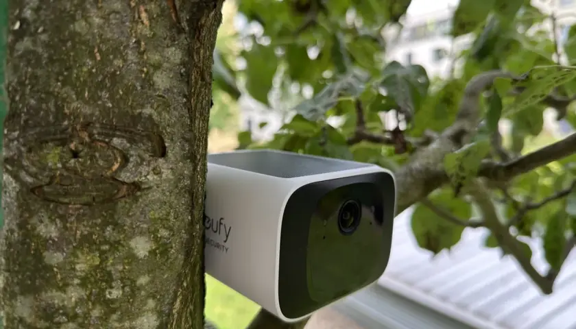 Eufy S220 im Test: Eine Überwachungskamera, unauffällig am Baum befestigt, überwacht das Grundstück.