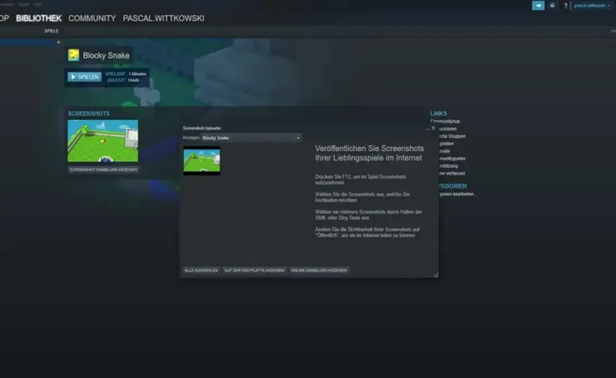 Steam Screenshots Ordner - Endlich finden & verwalten!
