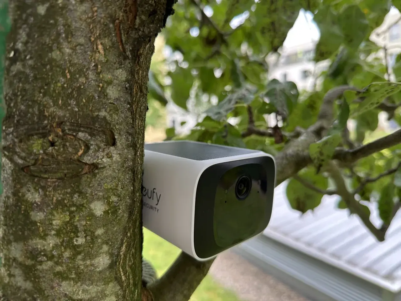 Eufy S220 im Test: Eine Überwachungskamera, unauffällig am Baum befestigt, überwacht das Grundstück.